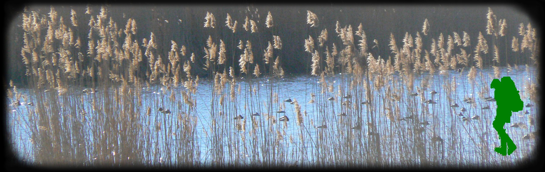 LAGO DI VICO SLIDE