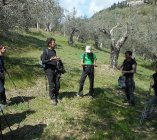 Up on the mountain among millenary olive trees